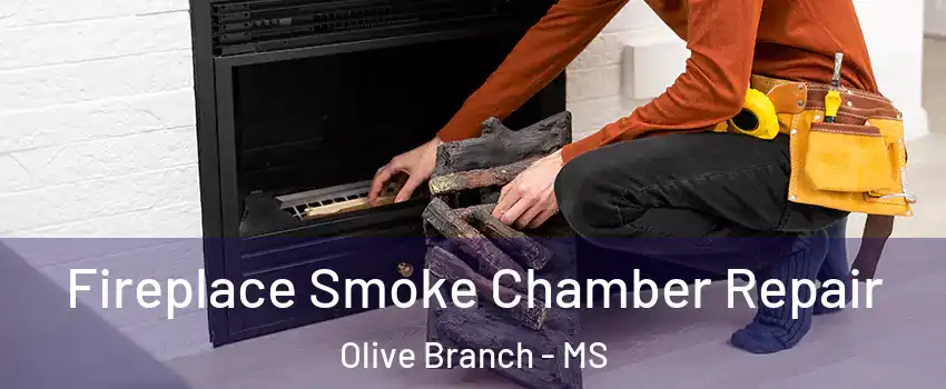  Fireplace Smoke Chamber Repair Olive Branch - MS
