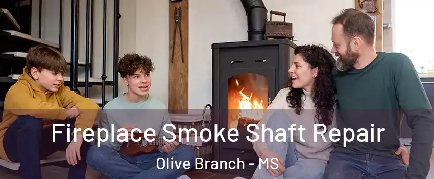  Fireplace Smoke Shaft Repair Olive Branch - MS