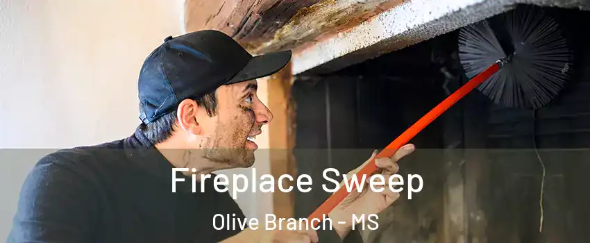  Fireplace Sweep Olive Branch - MS
