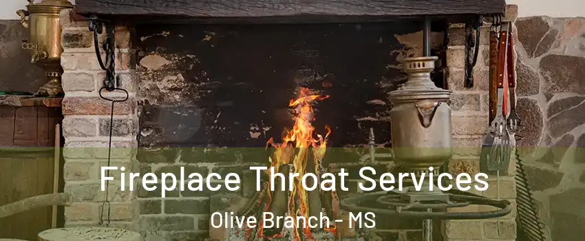  Fireplace Throat Services Olive Branch - MS