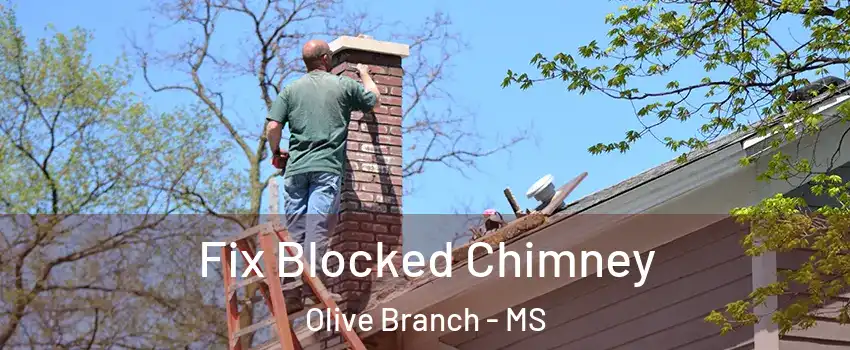  Fix Blocked Chimney Olive Branch - MS