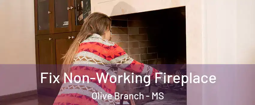  Fix Non-Working Fireplace Olive Branch - MS