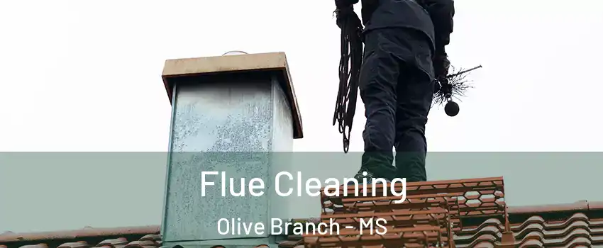  Flue Cleaning Olive Branch - MS
