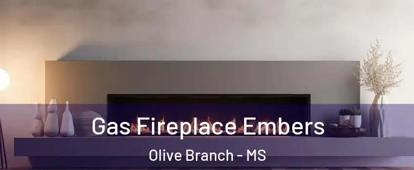  Gas Fireplace Embers Olive Branch - MS