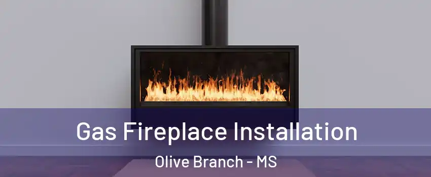  Gas Fireplace Installation Olive Branch - MS