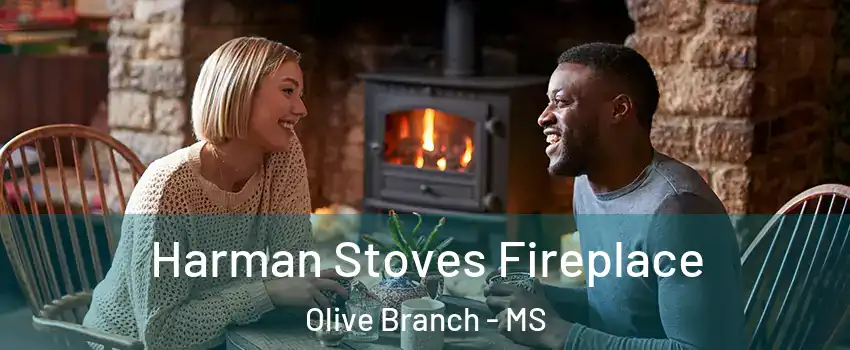  Harman Stoves Fireplace Olive Branch - MS
