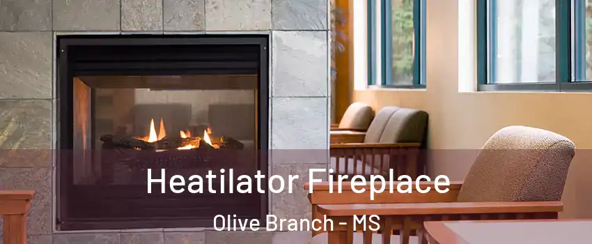  Heatilator Fireplace Olive Branch - MS