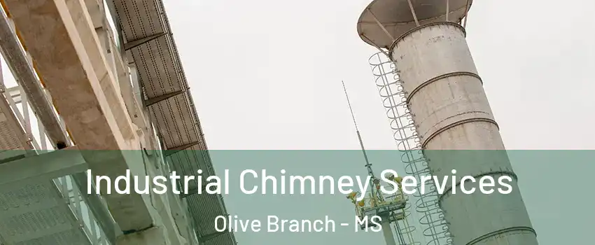  Industrial Chimney Services Olive Branch - MS