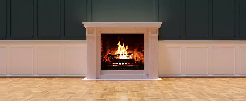 Napoleon Electric Fireplaces Inspection Service in Olive Branch, Mississippi
