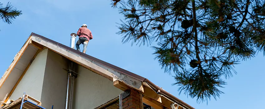 Birds Removal Contractors from Chimney in Olive Branch, MS