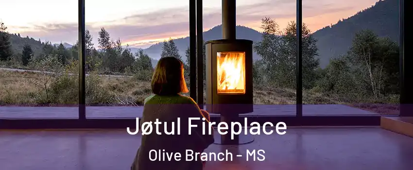  Jøtul Fireplace Olive Branch - MS