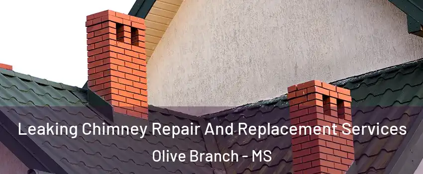  Leaking Chimney Repair And Replacement Services Olive Branch - MS