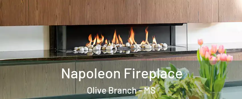  Napoleon Fireplace Olive Branch - MS