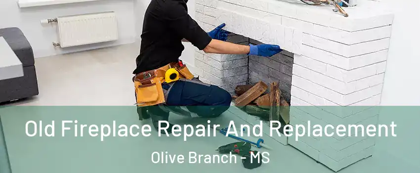  Old Fireplace Repair And Replacement Olive Branch - MS