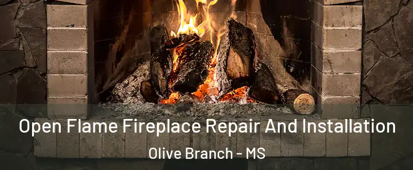  Open Flame Fireplace Repair And Installation Olive Branch - MS