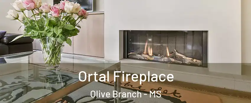 Ortal Fireplace Olive Branch - MS