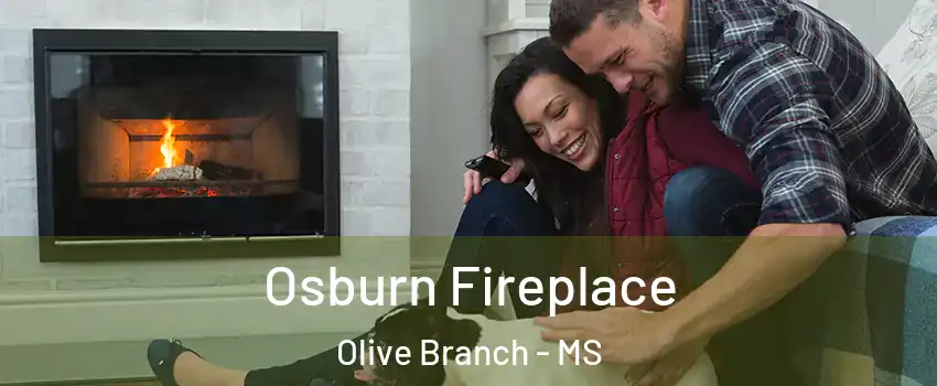  Osburn Fireplace Olive Branch - MS