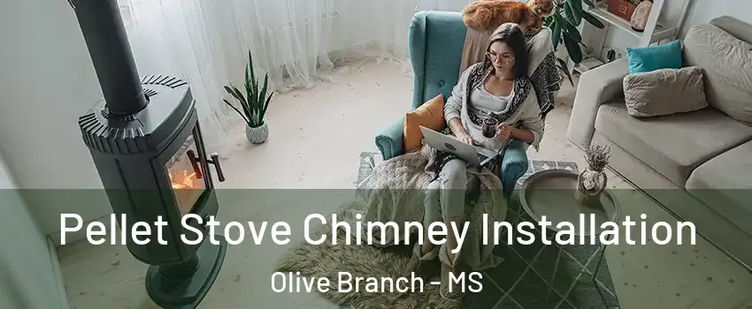  Pellet Stove Chimney Installation Olive Branch - MS