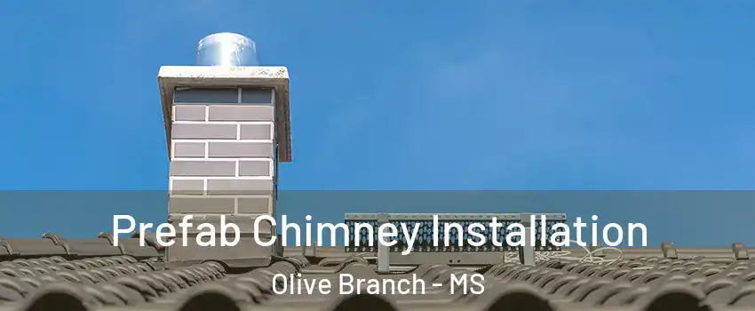  Prefab Chimney Installation Olive Branch - MS