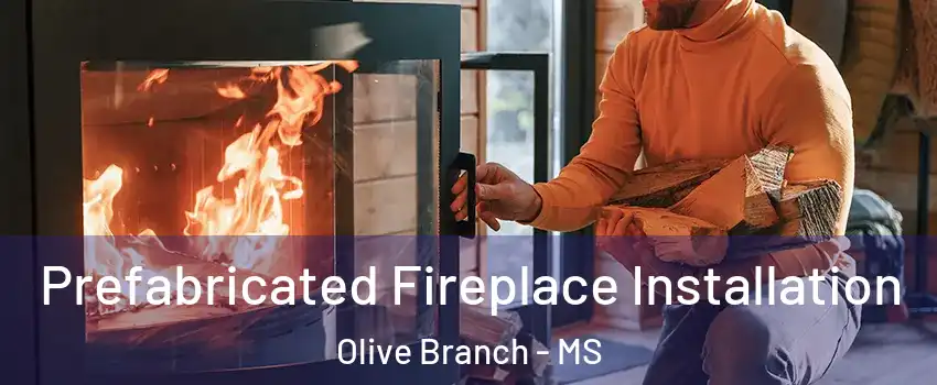  Prefabricated Fireplace Installation Olive Branch - MS
