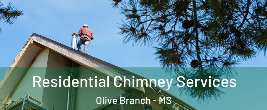  Residential Chimney Services Olive Branch - MS