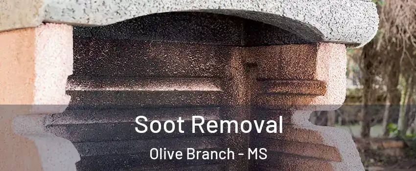  Soot Removal Olive Branch - MS