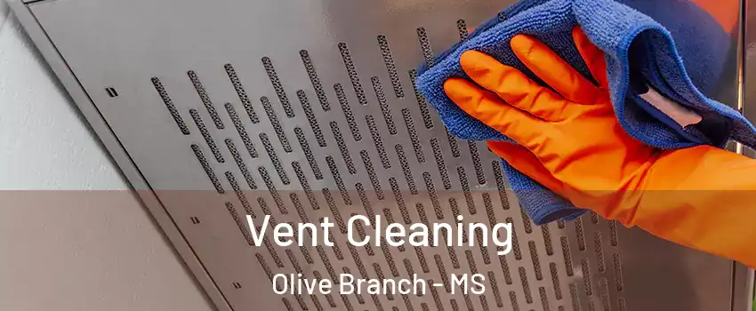  Vent Cleaning Olive Branch - MS