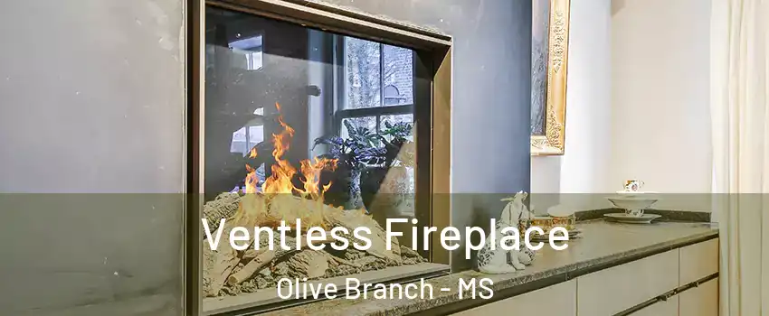  Ventless Fireplace Olive Branch - MS