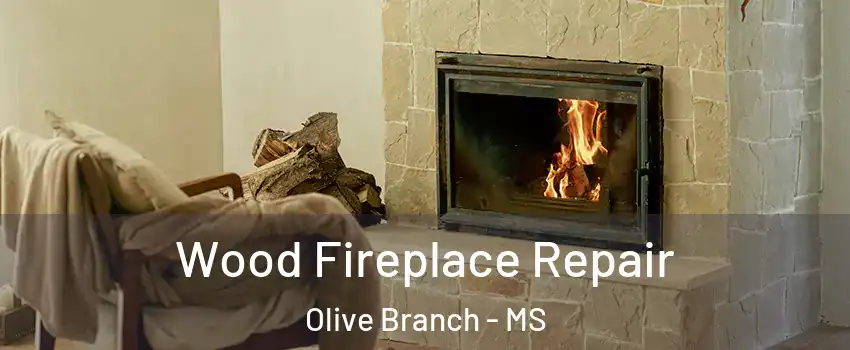  Wood Fireplace Repair Olive Branch - MS