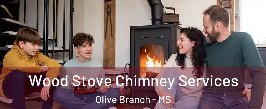  Wood Stove Chimney Services Olive Branch - MS