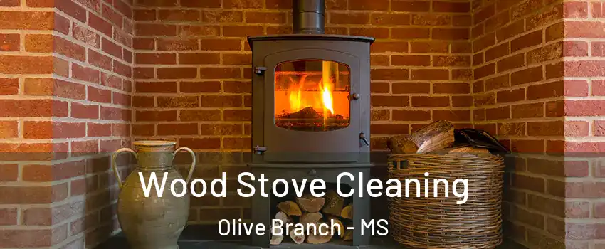  Wood Stove Cleaning Olive Branch - MS