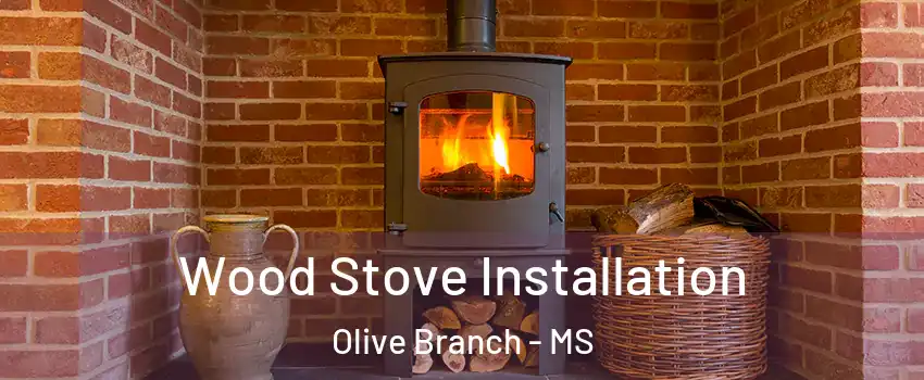  Wood Stove Installation Olive Branch - MS
